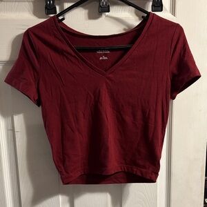 wild fable Burgundy V-Neck Short Sleeve Crop Top